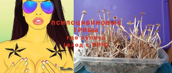 соль курить ск Белокуриха